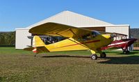 N43277 @ 8N1 - I caught this lovely yellow 1946 Taylorcraft mingling with the treasures of the Golden Age Air Museum. - by Daniel L. Berek