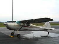 N2846C @ LHM - Scruffy-looking 1954 Cessna 170B @ Lincoln Regional Airport, CA - by Steve Nation