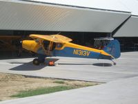 N1313V @ KSLR - Legend Cub