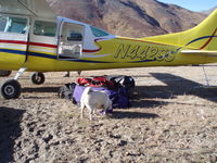 N442SS @ 5CD - Playing in the Brooks Range in Alaska. - by Owner