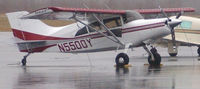 N5500Y @ DAN - 2001 Maule M-7-260C in Danville Va. - by Richard T Davis