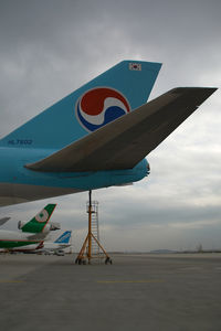 HL7602 @ VIE - Korean Airlines Boeing 747-400F - by Yakfreak - VAP