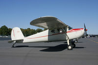 N77341 @ CJR - Cessna 140 NC77341 - by Chris England