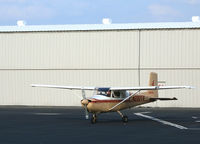 N222TX @ SAC - One fine looking 1957 (straight-tail) Cessna 172 visiting from Colorado @ Sacramento Exec Airport, CA - by Steve Nation