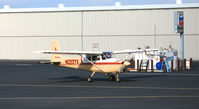 N222TX @ SAC - One fine looking 1957 (straight-tail) Cessna 172 visiting from Colorado @ Sacramento Exec Airport, CA - by Steve Nation