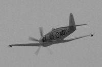 N260X @ KLSV - Privately Owned - San Jose, California (Aviation Nation 2006) / 1951 Hawker MK 11 SEA FURY - by Brad Campbell