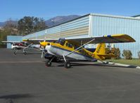 N941MD @ SZP - 1996 American Champion 8GCBC SCOUT, Lycoming O-360-E2C 180 Hp, wing spades - by Doug Robertson
