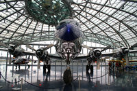 N996DM photo, click to enlarge