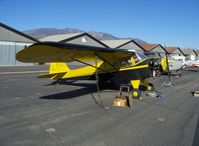 N43300 @ SZP - 1946 Taylorcraft BC-12D Continental A&C65 65 Hp, maintenance-annual - by Doug Robertson
