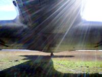 N173RD @ 6A2 - Belly of a DC-3 at 6A2
