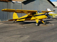 N77874 @ SZP - 1946 Lucombe 8A @ Santa Paula Airport, CA - by Steve Nation