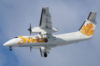 C-GONY photo, click to enlarge