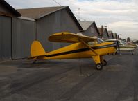 N77874 @ SZP - 1946 Luscombe 8A, Continental C85 85 Hp - by Doug Robertson