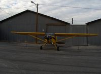 N77874 @ SZP - 1946 Luscombe 8A, Continental C85 85 Hp - by Doug Robertson