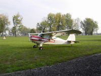 N36658 - At a private grass strip in Northern Italy - by Luigi U. Ricci Moretti