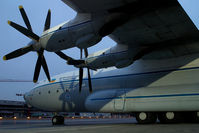 UR-09307 @ VIE - Antonov Airlines Antonov 22 - by Yakfreak - VAP