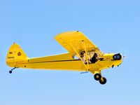 N71056 @ LPC - Cub Fly In Lompoc Calif 2006