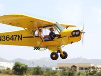 N3647N @ LPC - California Cub with surfboards