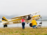 N1991A @ LPC - Spot landing contest Cub Fly In Lompoc Ca