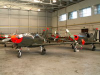 229 - SF260/Baldonnel - by Ian Woodcock