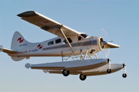 VH-PCF - 1959  DeHavilland  DHC-2 Beaver - by unknown