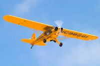 N98661 @ LPC - Cub Fly In Lompoc Calif 2005 - by Mike Madrid