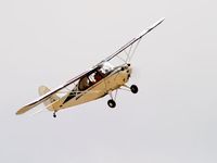 N81495 @ LPC - Cub Fly In Lompoc Calif 2005 - by Mike Madrid