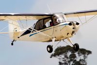 N81495 @ LPC - Cub Fly In Lompoc Calif 2005 - by Mike Madrid