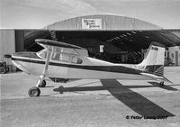 ZK-BDD @ NZIV - Cessna 180 - by Peter Lewis