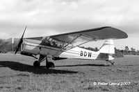 ZK-BDW @ NZNP - Auster J5A Aiglet - by Peter Lewis