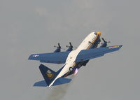 164763 @ DAY - Fat Albert - by Florida Metal