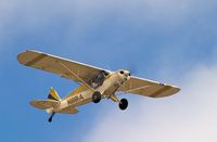 N1991A @ LPC - Cub Fly In Lompoc Calif 2005