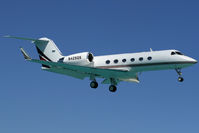 N428QS @ SXM - visitor - by Wolfgang Zilske