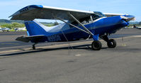 N99SQ @ O69 - 1984 Maule MX-7-235 @ Petaluma Municipal Airport, CA - by Steve Nation