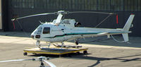 N4048L @ ISP - AS 350 - US Customs Svc. - by Stephen Amiaga