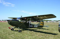 N13FM @ KLAL - Cessna L-19