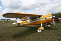 N9866A @ LAL - Cessna 190