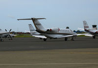 N308GT @ APC - 2000 Cessna 525a @ Napa, CA - by Steve Nation