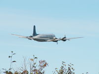 N351CE @ ANC - DC-6-C-118A/Everts Air Cargo/Anchorage