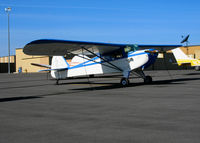 N95668 @ PRB - Locally-based 1946 Taylorcraft BC-12D as 'NC95668' @ Paso Robles, CA - by Steve Nation
