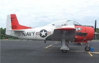 N31431 - Profile shot of the beast - by F. White