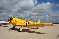 N7771C @ KDKB - North American T-6G - by Mark Pasqualino