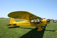 N49571 @ C77 - Piper J-3C-65