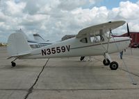 N3559V photo, click to enlarge