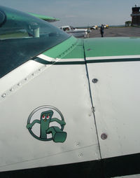 N989TP @ DAN - 1966 Cessna 182J in Danville Va. GUMBY.   Cool Color! - by Richard T Davis