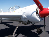 N55MY @ KFTG - Strut/prop detail