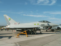 ZJ924 - BAe Typhoon/Royal Air Force/Laage Show - by Ian Woodcock