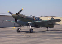 N1195N @ S67 - P40N taxi - by Bluedharma
