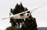 N5EX @ LPC - On final West Coast Pipe Cub Fly-In 2007 Lompoc Calif