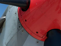 N308WK @ KFNL - Nose Detail - by Bluedharma